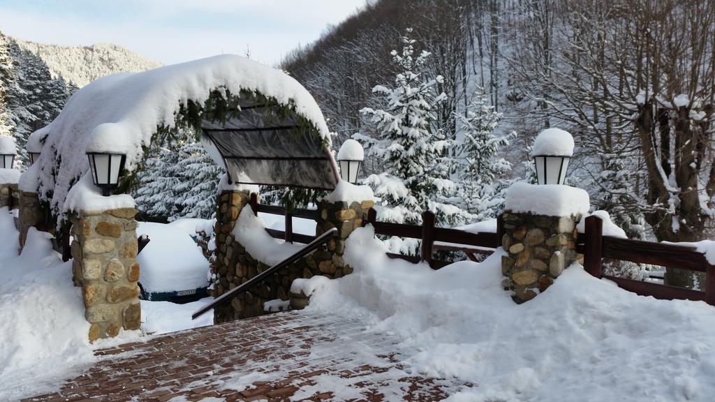 Pension Curmatura Stezii Răşinari Kültér fotó
