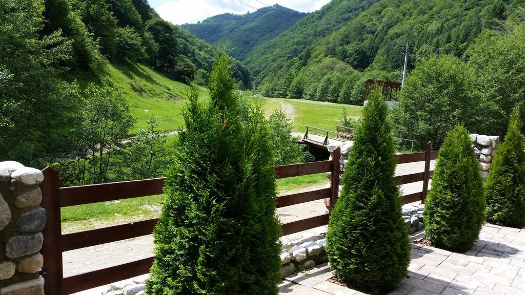 Pension Curmatura Stezii Răşinari Kültér fotó